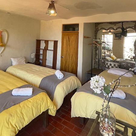 Hostel Del Campo クスコ エクステリア 写真