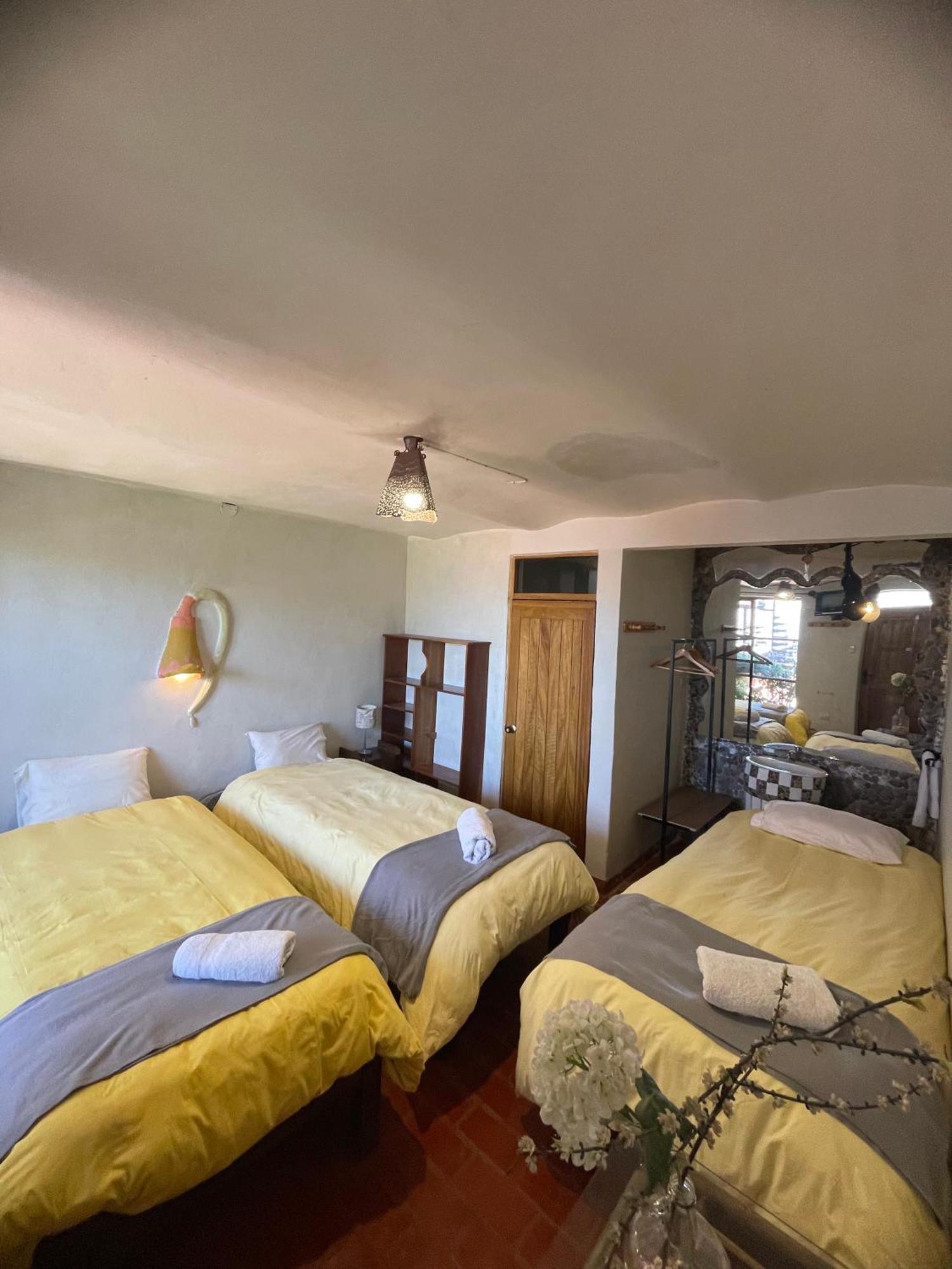 Hostel Del Campo クスコ エクステリア 写真
